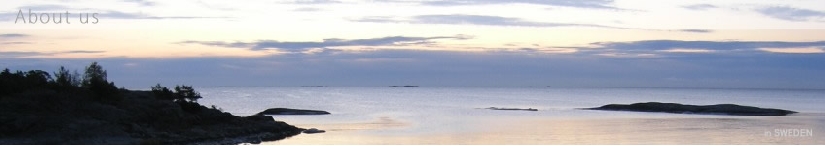 build image for aboutus(sweden).jpg